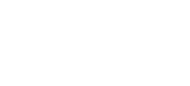The Government Inspector
